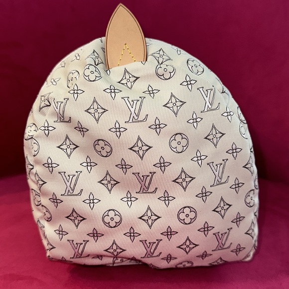 Louis Vuitton monogram purse stuffer pillow for limited edition purse - Picture 4 of 8